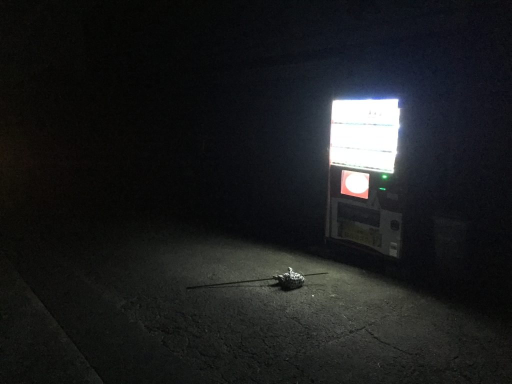 fundoshihikyakubin-vendingmachine