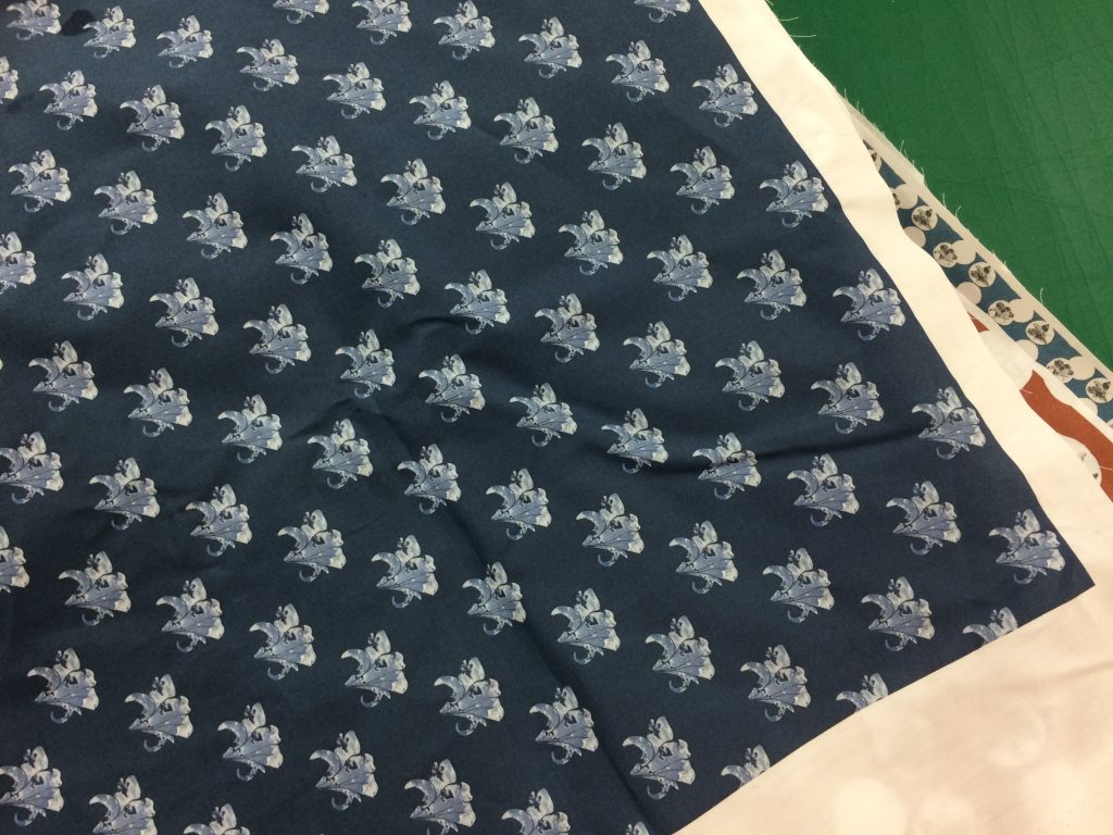 ふんどし、フランスデザイン
