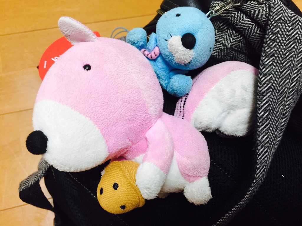 shimarisu-my-bag