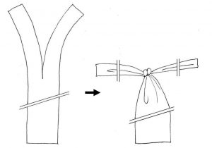wari-fundoshi