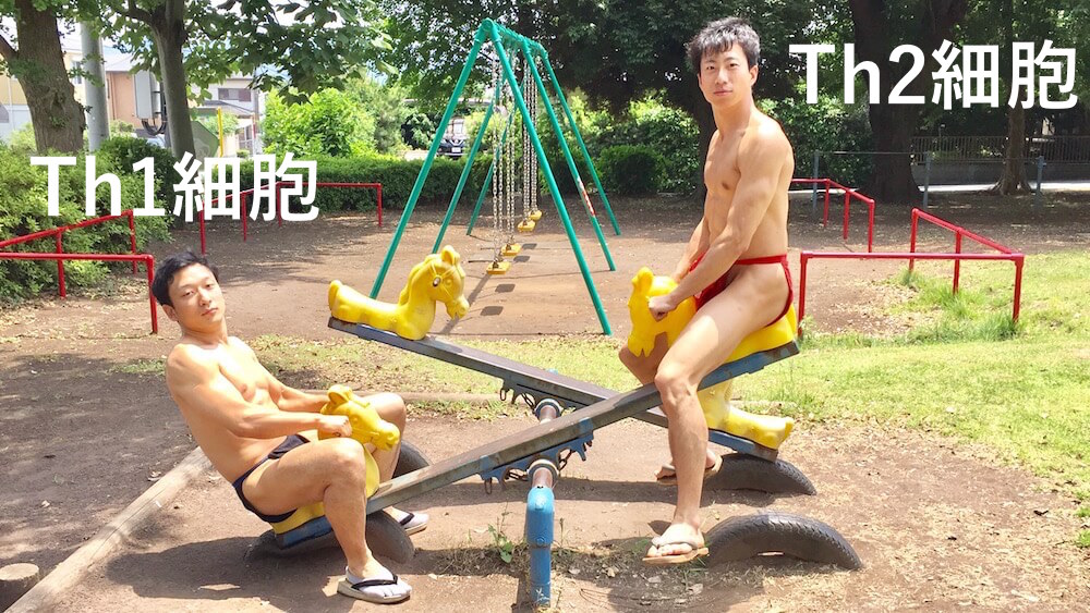 fundoshi-seesaw-1