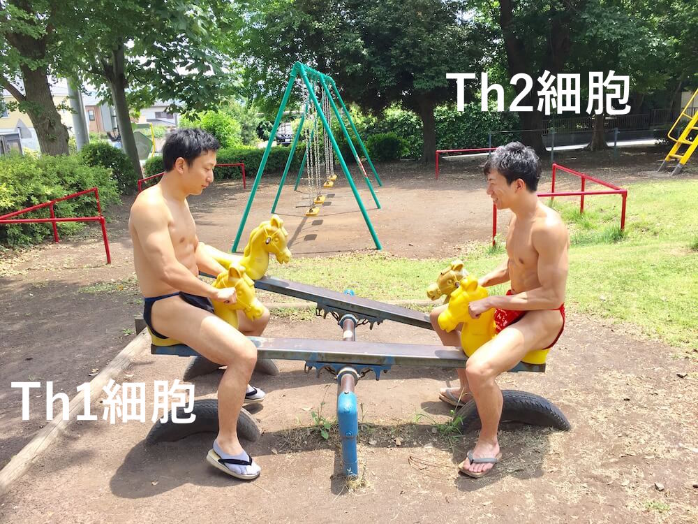 fundoshi-seesaw-3