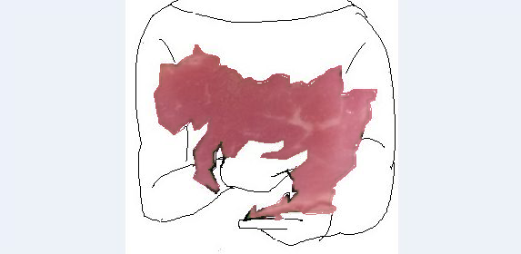 how-to-embrace-tsurushibacon